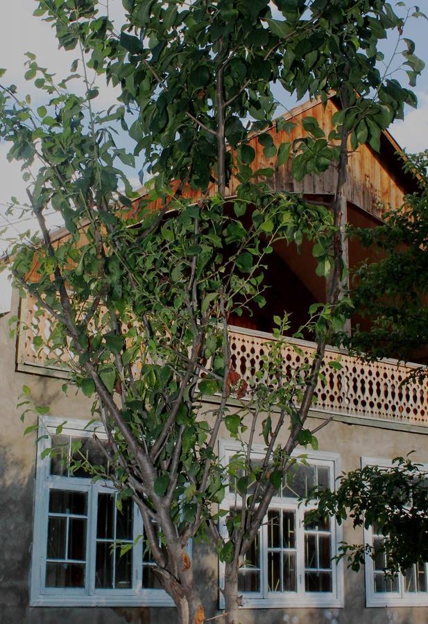 Hostel The Misty Mountains Mestia Exterior photo